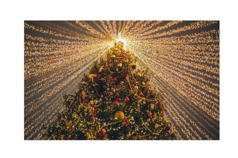 Tis the season…